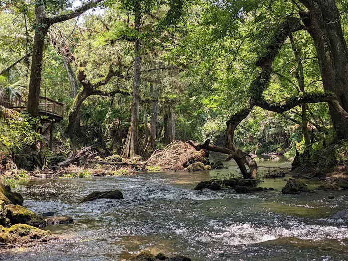 Hillsborough River State Park Campground 7