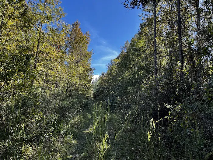 Oakridge Equestrian Campground 3