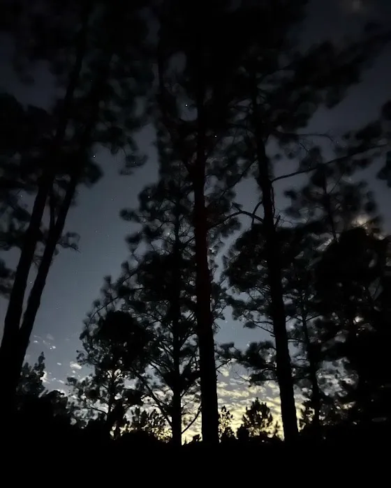 Oakridge Equestrian Campground 8
