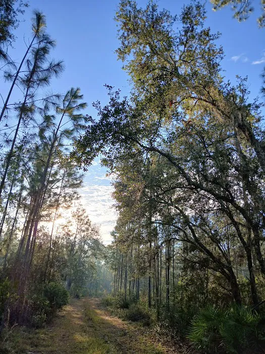 Oakridge Equestrian Campground 10
