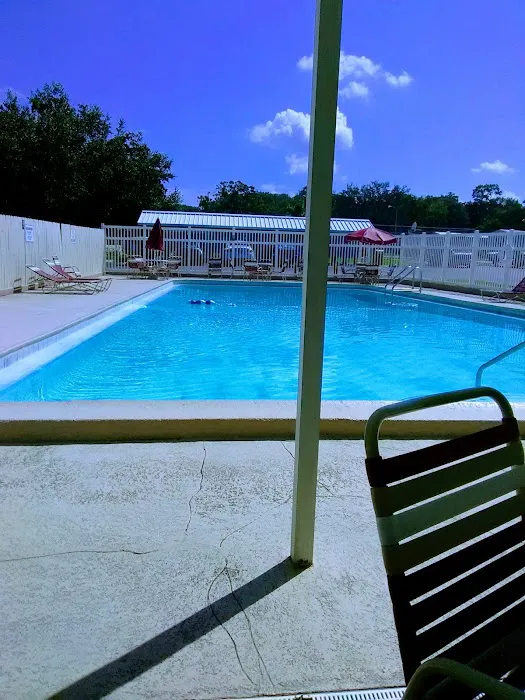 Paradise Village Tampa 3