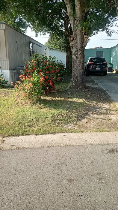 Alafia Mobile Plaza 3