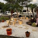 Park at Palm Grove