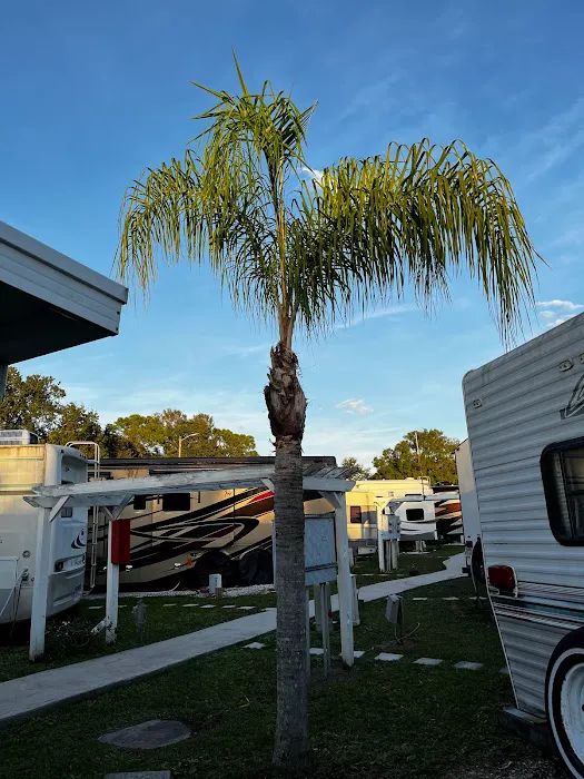 Park at Palm Grove 7