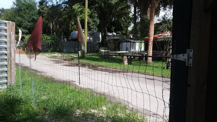Palm River RV Park 10