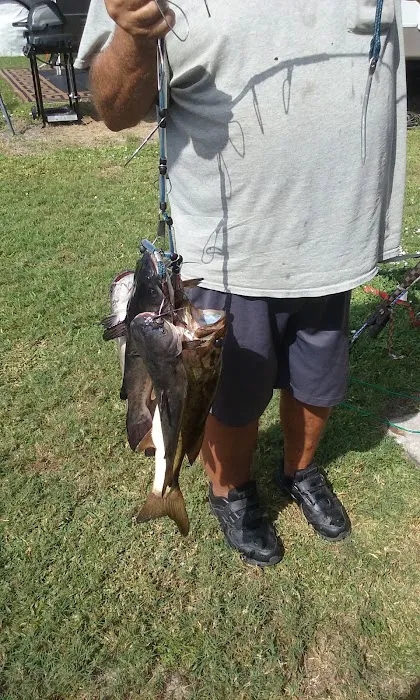Sebring Grove RV Resort 8