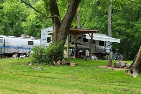 Camp Stonefly