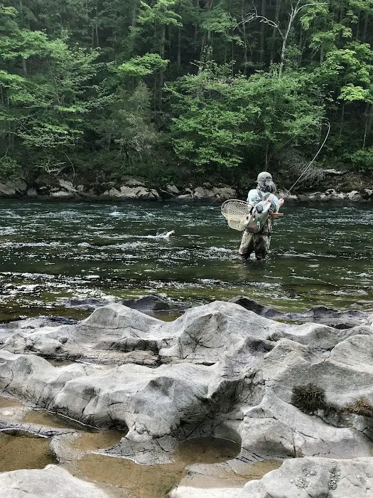 Camp Stonefly 7
