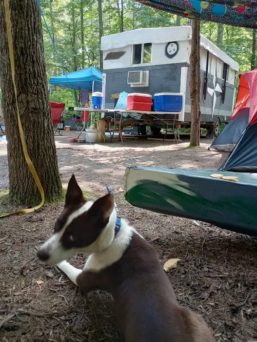 Little Oak Campground 9