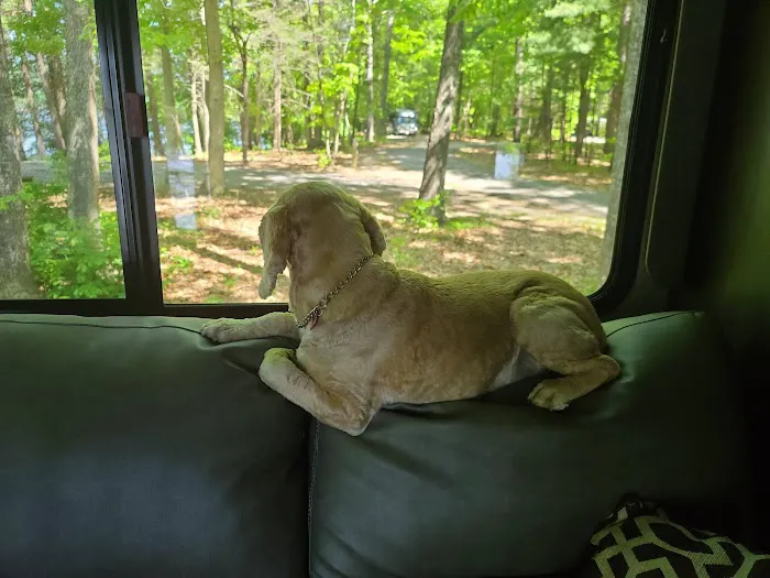 Little Oak Campground 8