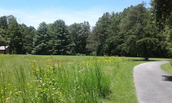 Little Oak Campground 5