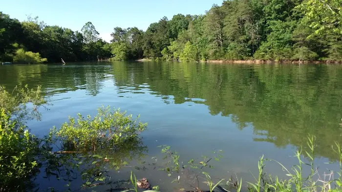 Cochran's Lakeview Campground 3