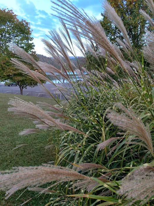 Washington County Park 10