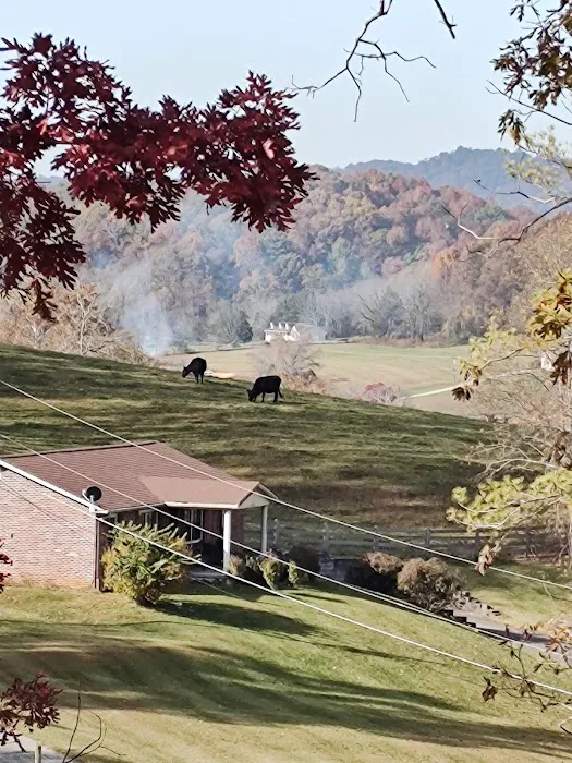 Wolf Lair Campground 10