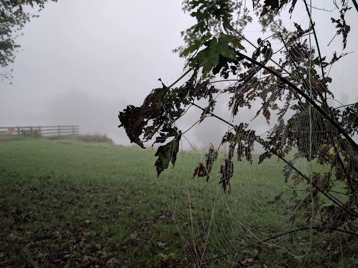 Pursuit Farms 2
