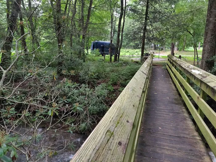 Raccoon Branch Campground 2