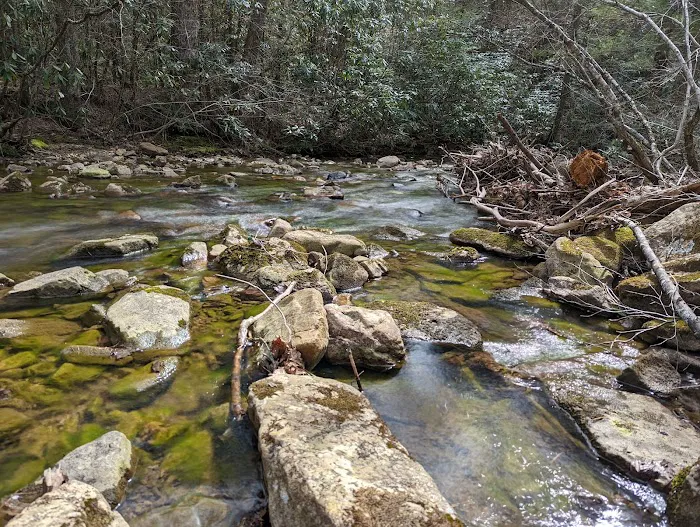 Raccoon Branch Campground 3