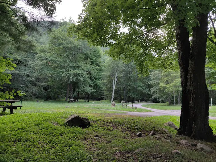 Raccoon Branch Campground 9