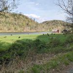 Double Shoals Campground