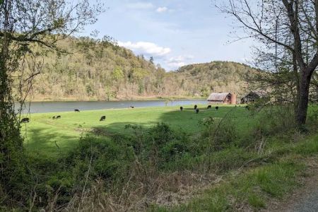 Double Shoals Campground