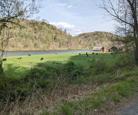 Double Shoals Campground