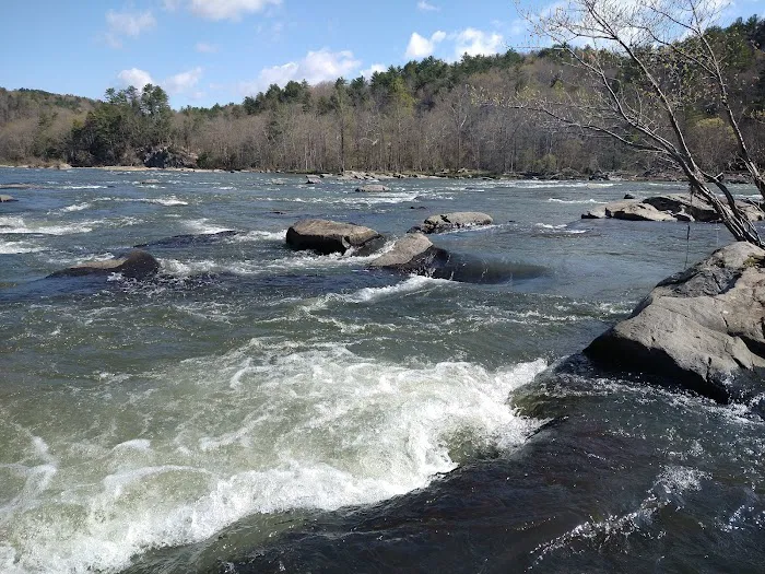 Double Shoals Campground 6