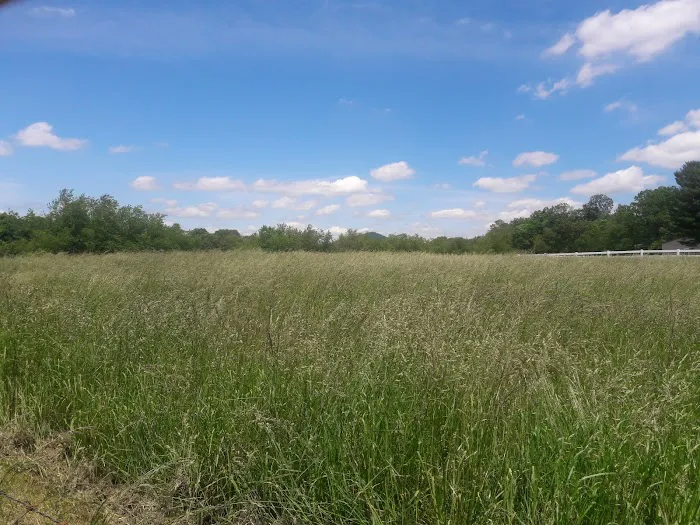 Wythe Mobile Home Park- Twin State 1