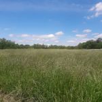 Wythe Mobile Home Park- Twin State