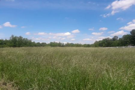 Wythe Mobile Home Park- Twin State