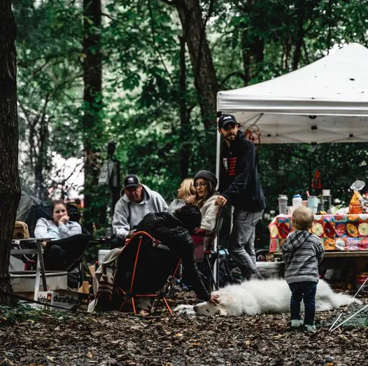 Dan River Campground 9