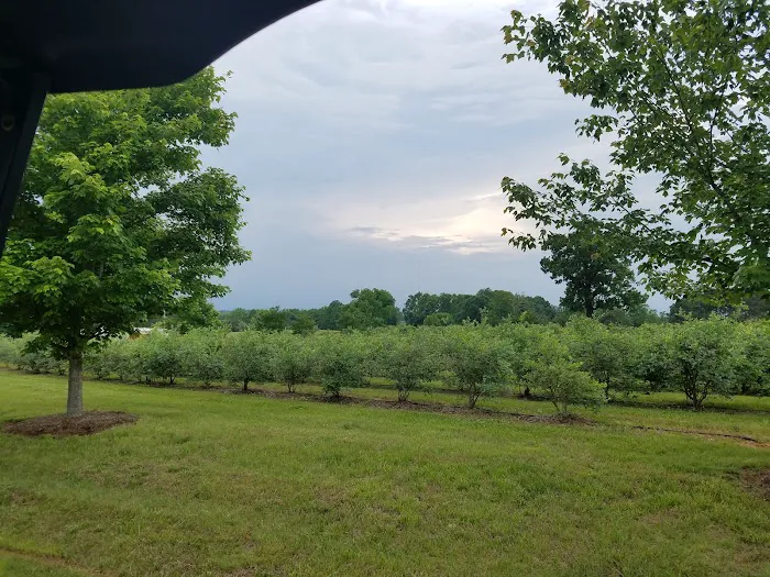Bison Trail RV Park/Piedmont Bison Ranch 2