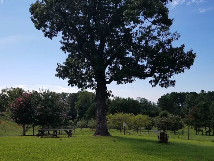 Bison Trail RV Park/Piedmont Bison Ranch 7