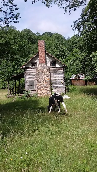 Labhaoise Camp and Hunt Club 5