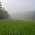 Labhaoise Camp and Hunt Club