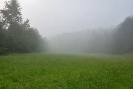 Labhaoise Camp and Hunt Club