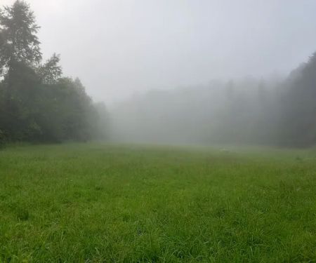 Labhaoise Camp and Hunt Club