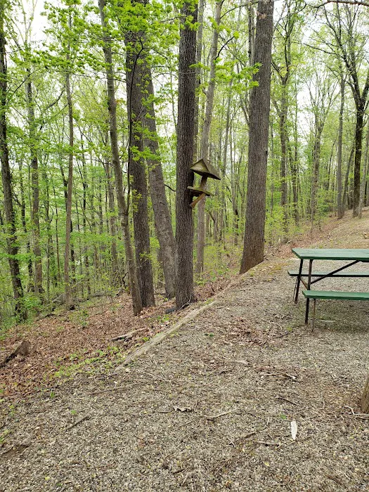 Deer Run Campgrounds 6