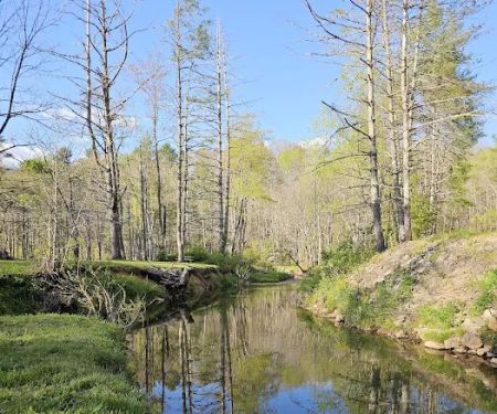Hippie Hollow