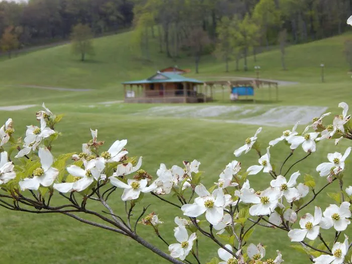 Floyd Family Campground 7