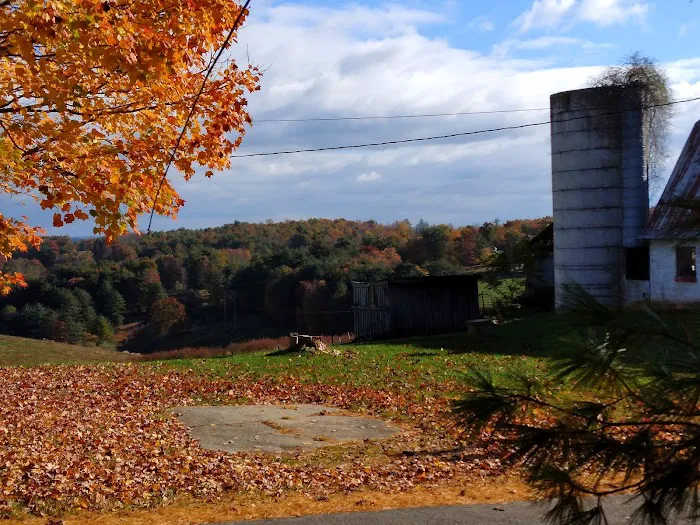 Cliffview Campground 3