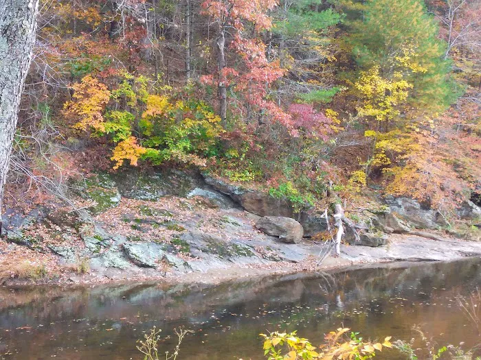 Cliffview Campground 8