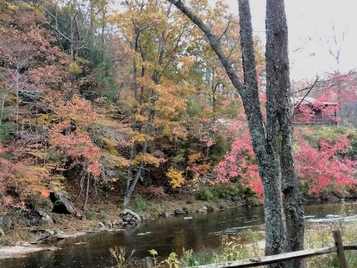 Cliffview Campground 5