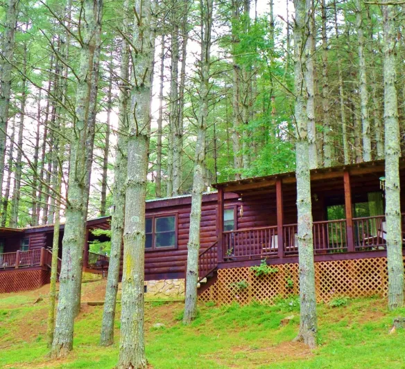 Chestnut Creek Cabins 2