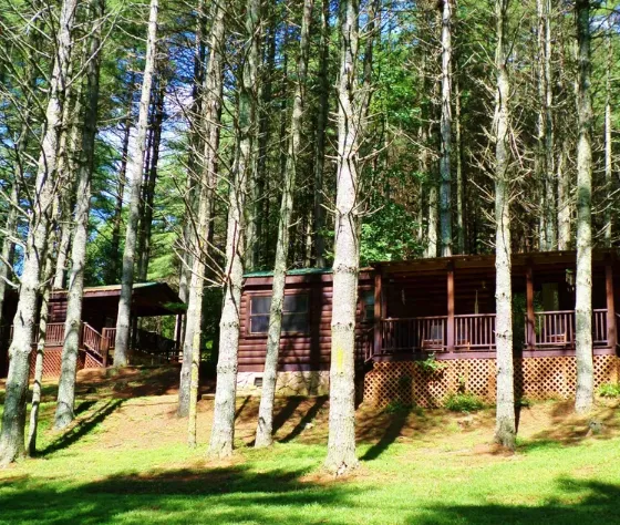 Chestnut Creek Cabins 4