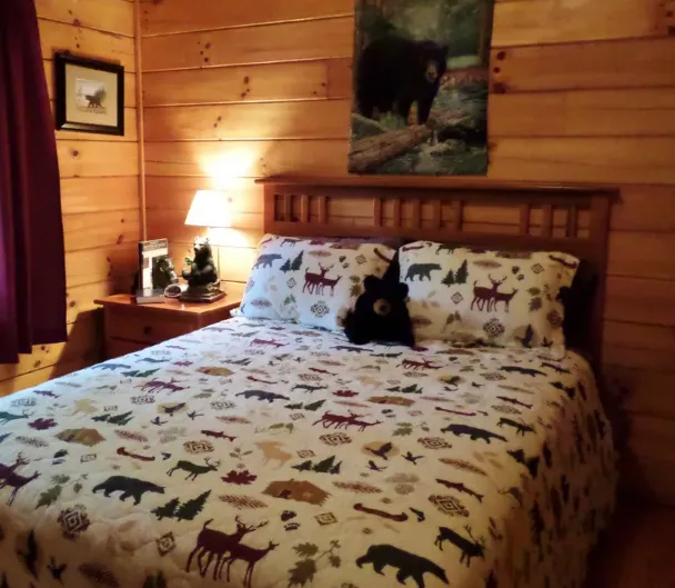 Chestnut Creek Cabins 6