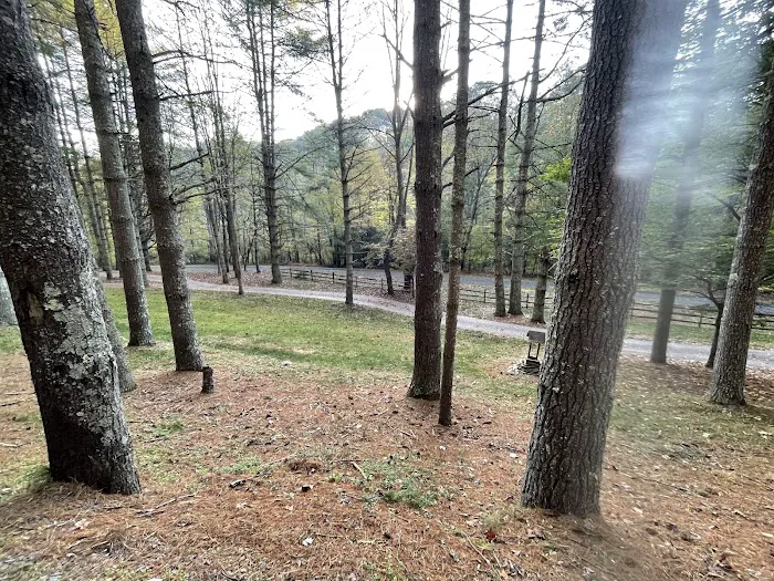 Chestnut Creek Cabins 7