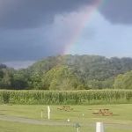 River Junction Campground and Canoeing