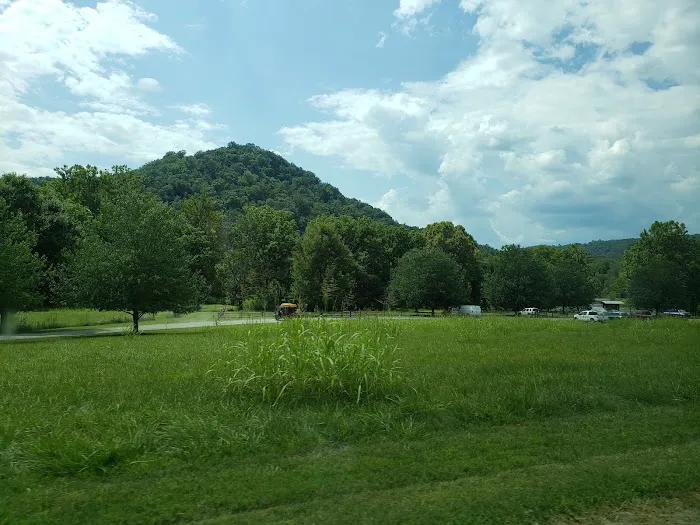 Foster Falls Campground 7