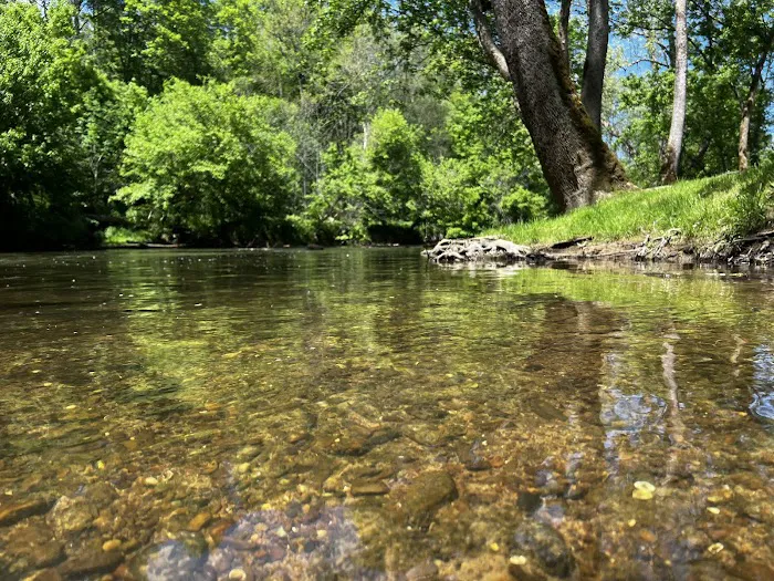 Paddlers Creekside Campground 5