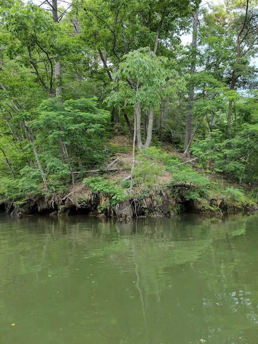 Izaak Walton League Campground1 8